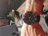 Customer picture of Seiko Men padi prospex horloge op zonne-energie chronograaf horloge blauw SSC785P1